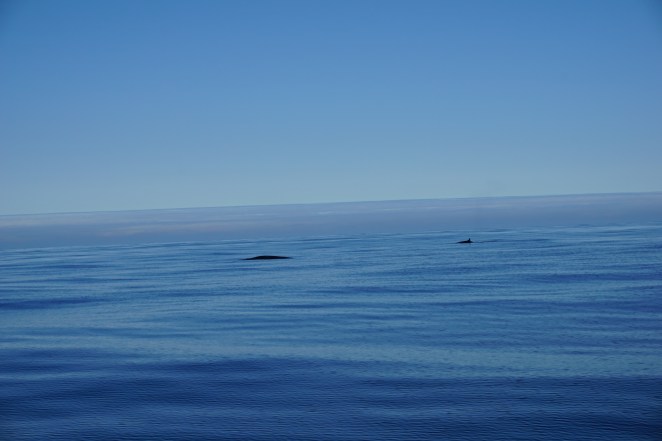 Bay of Biscay (PASSAGE)